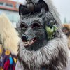narrensprung_langenargen_615689116_1325792492908282_5021907132505656573_n