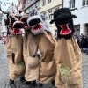 narrensprung_ulmzug_618686104_1331553562332175_3459319907652437803_n