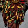 narrenumzug_narrenzell_626735065_1343816151105916_3831185390333508128_n