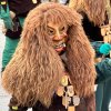 narrenumzug_vogt_632431182_1348201144000750_1227367092665583648_n