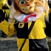 umzug_alttann_615722174_1325731339581064_4215344374307985475_n