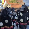 umzug_beuren_615752466_1325766449577553_7108279493252595264_n